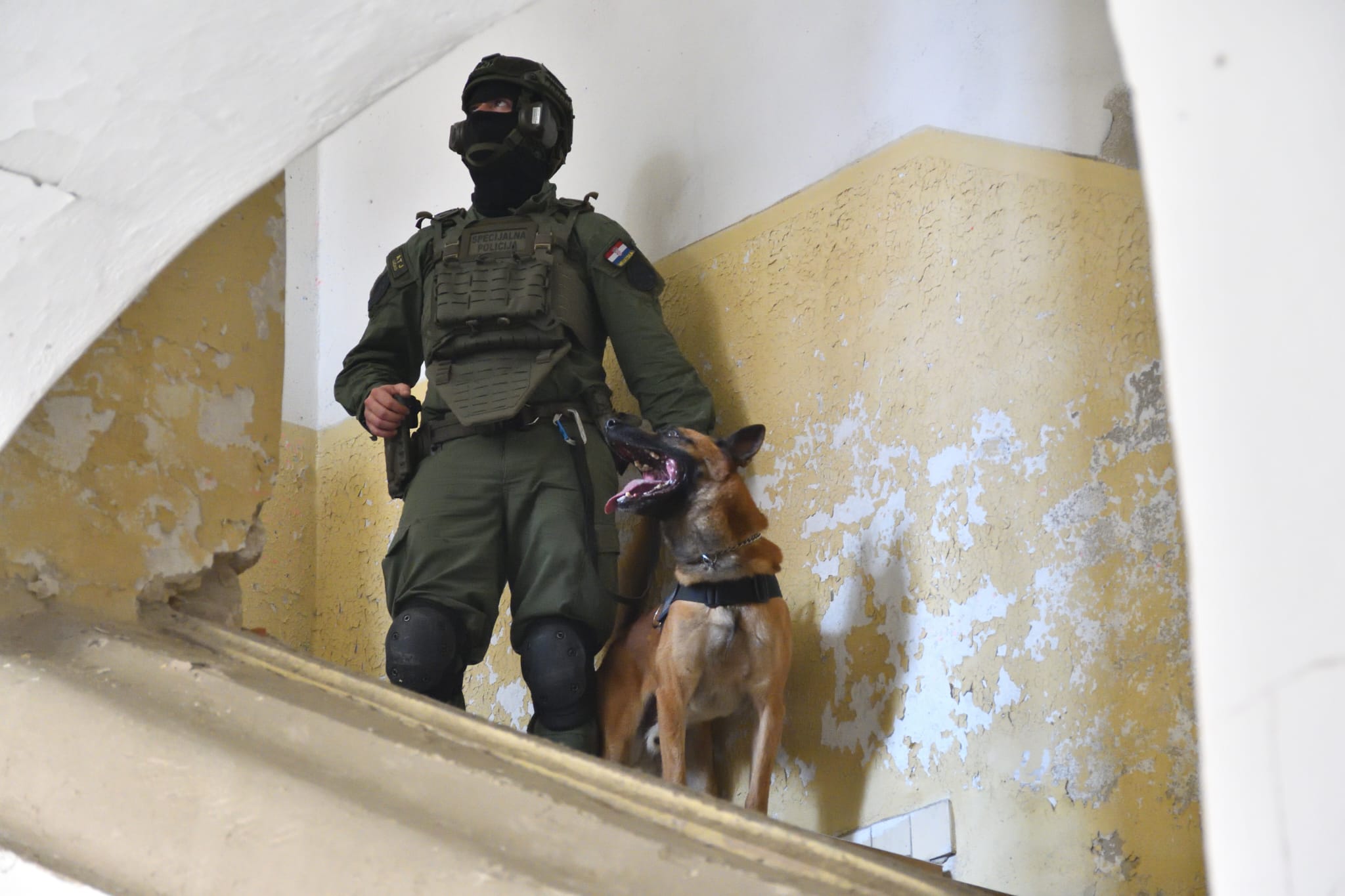 Specijalna policija i K9