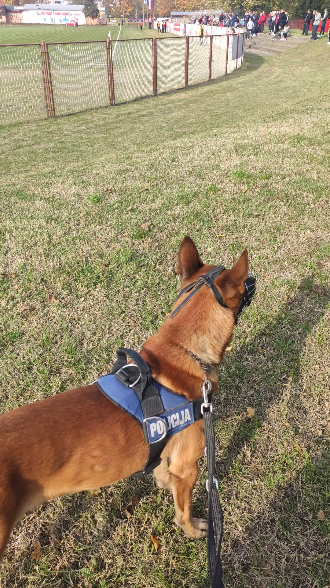 K9 na javnom događaju